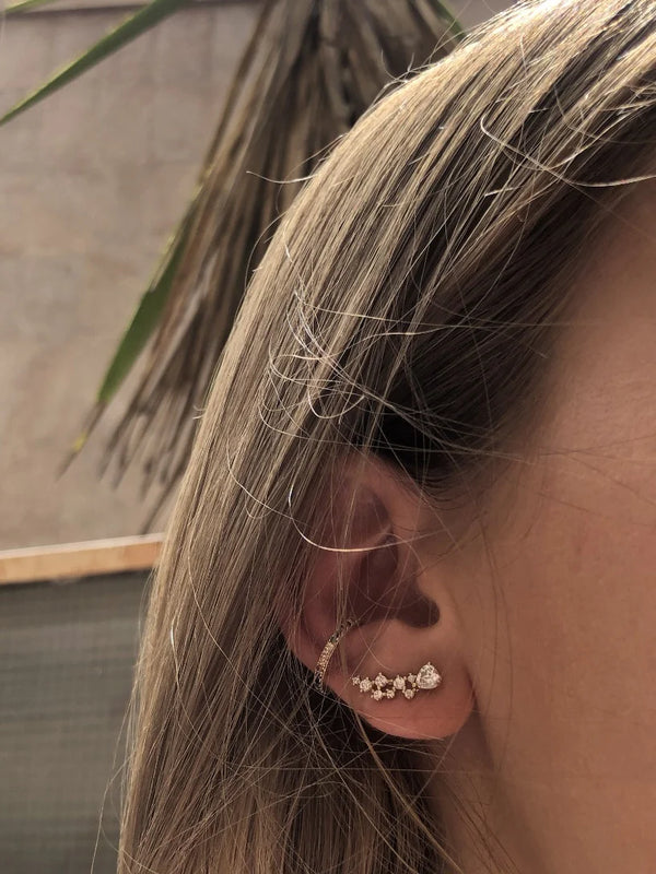 Natural Spiked Earring
